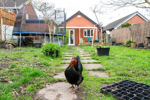 Photo 14- click for photo gallery